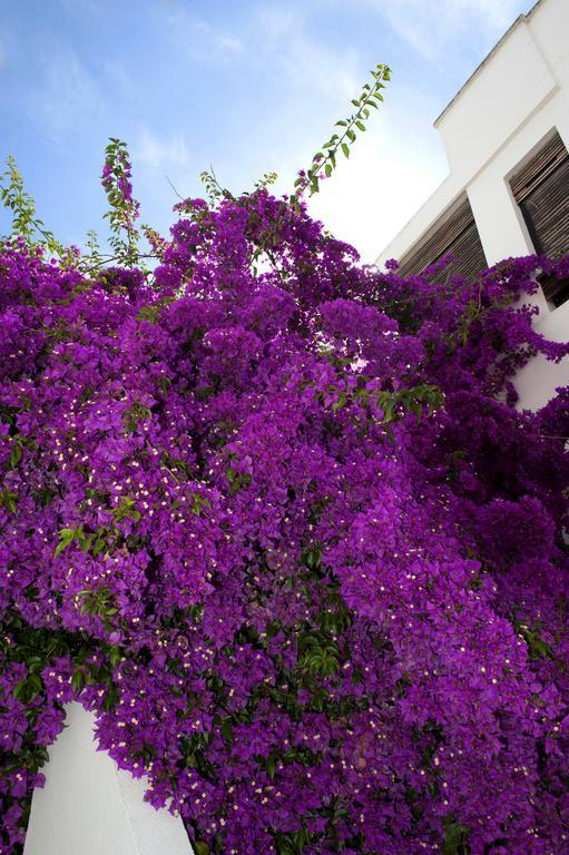 Haspeyma Otel Bodrum Bagian luar foto